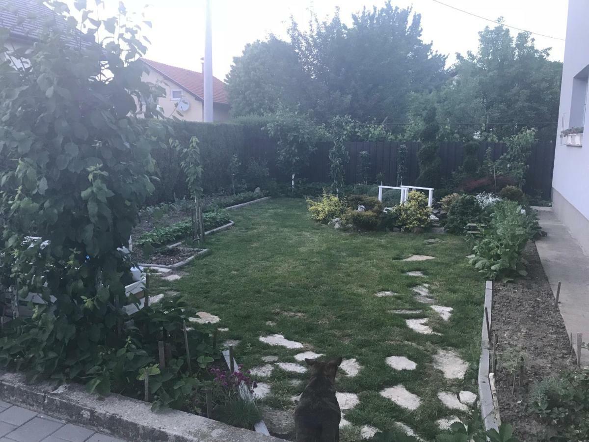 Studio Apartman Valentina Velika Mlaka Buitenkant foto